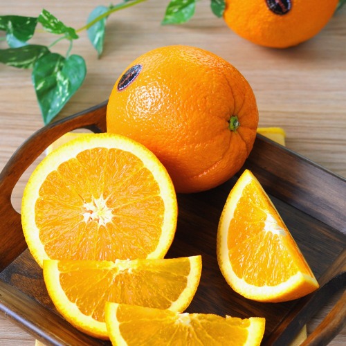 [엘프의식탁] 국내최초 하이엔드 블랙 킹 오렌지(5kg/24과)